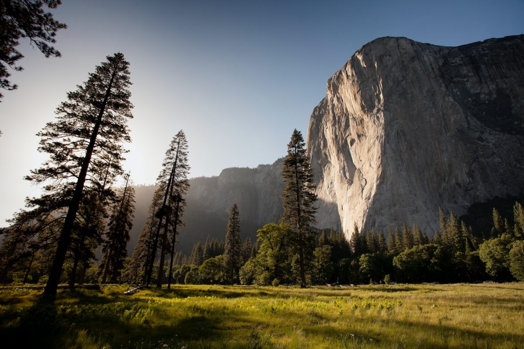 Vacaciones en el oeste de EEUU: Yosemite