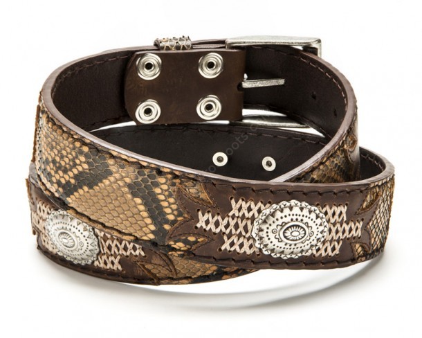 Tanned brown leather and snake skin western belt